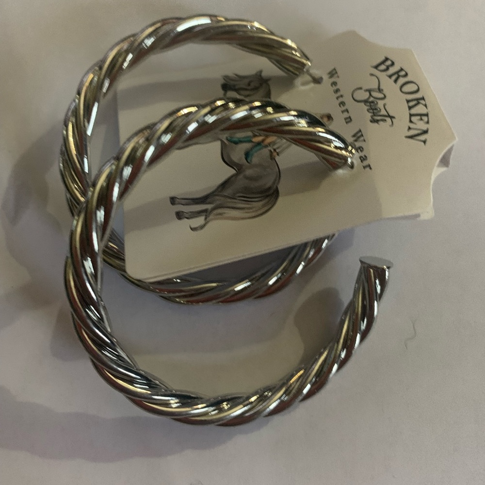 NWOT earrings